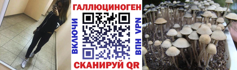 Псилоцибиновые грибы прущие грибы  Белёв 